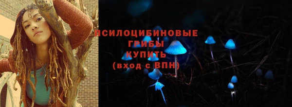 крисы Каменка