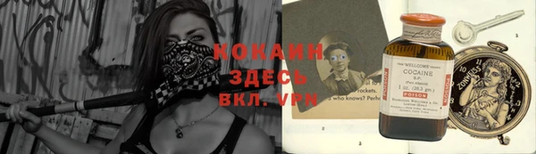 крисы Каменка