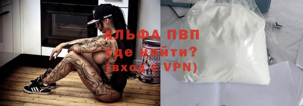 крисы Каменка