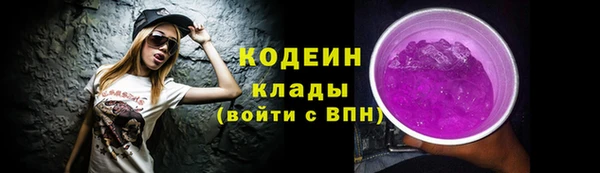 СК Каменногорск