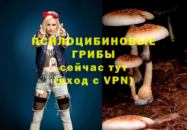 прущая мука Касимов