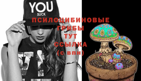 a pvp Карпинск