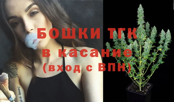 крисы Каменка