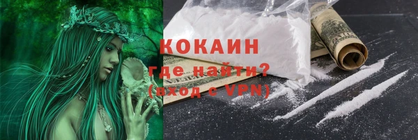 крисы Каменка