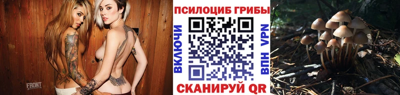 купить закладку  Тюмень  Галлюциногенные грибы мухоморы 